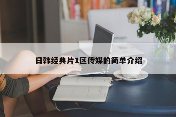 日韩经典片1区传媒的简单介绍